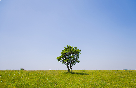 完善制度，规范流程，严格履行信息披露义务