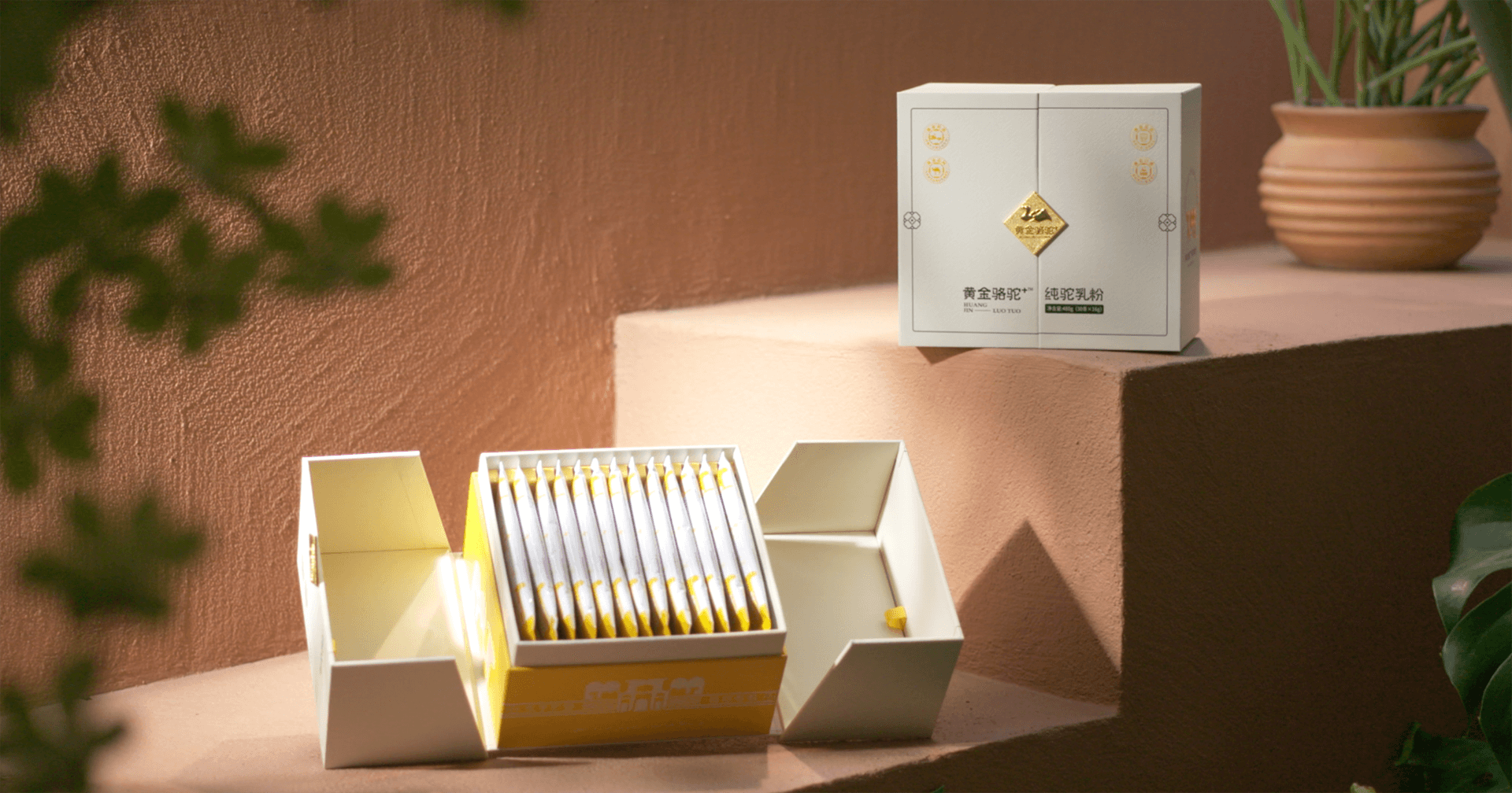 定位小众高端乳粉，jinnianhui今年会推出驼奶品牌“黄金骆驼+”，角逐乳品新市场！